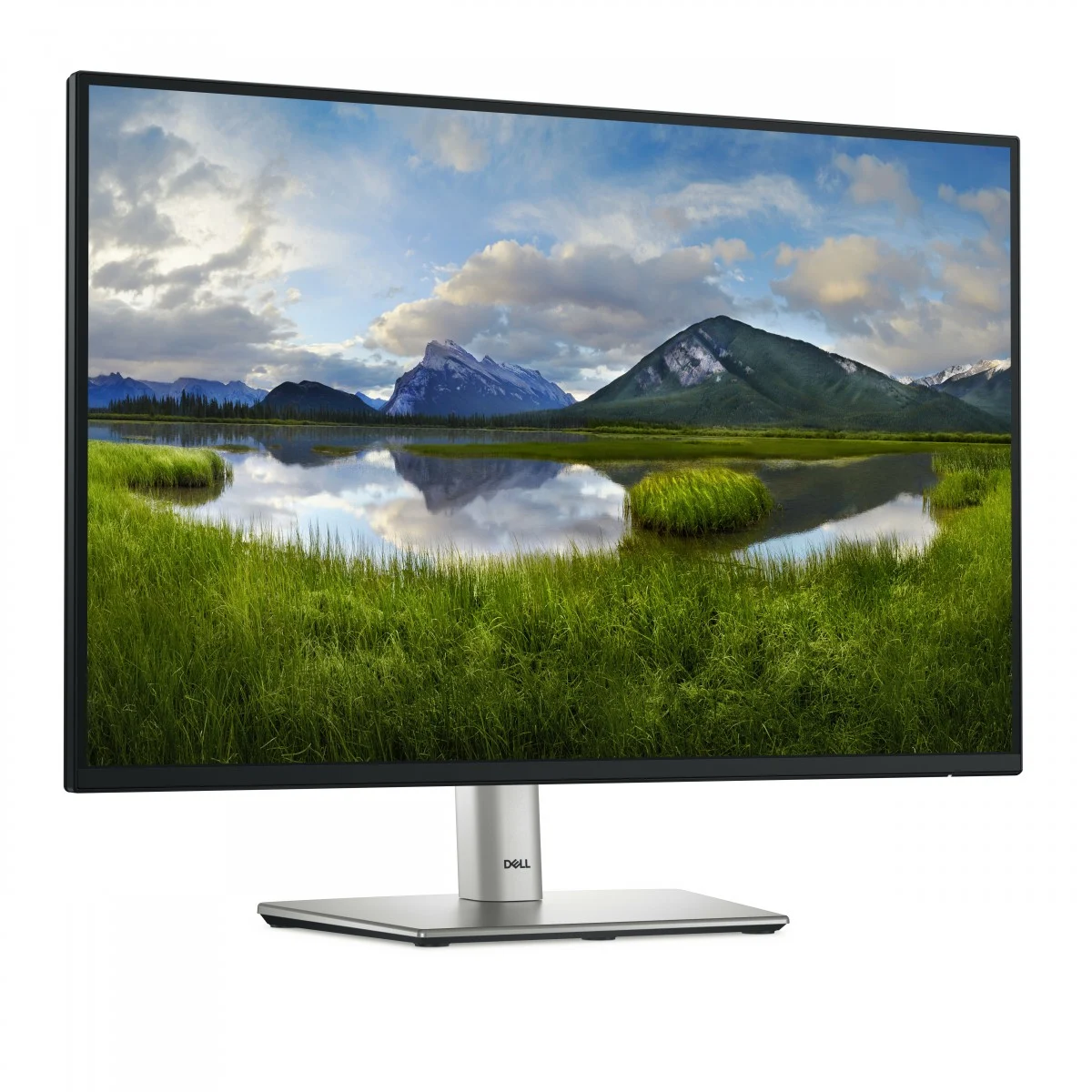 DELL Pro Plus P2425 monitor de ecrã 61,1 cm (24.1") 1920 x 1200 pixels WUXGA LCD Preto Part number: DELL-P2425 EAN: 5397184821671